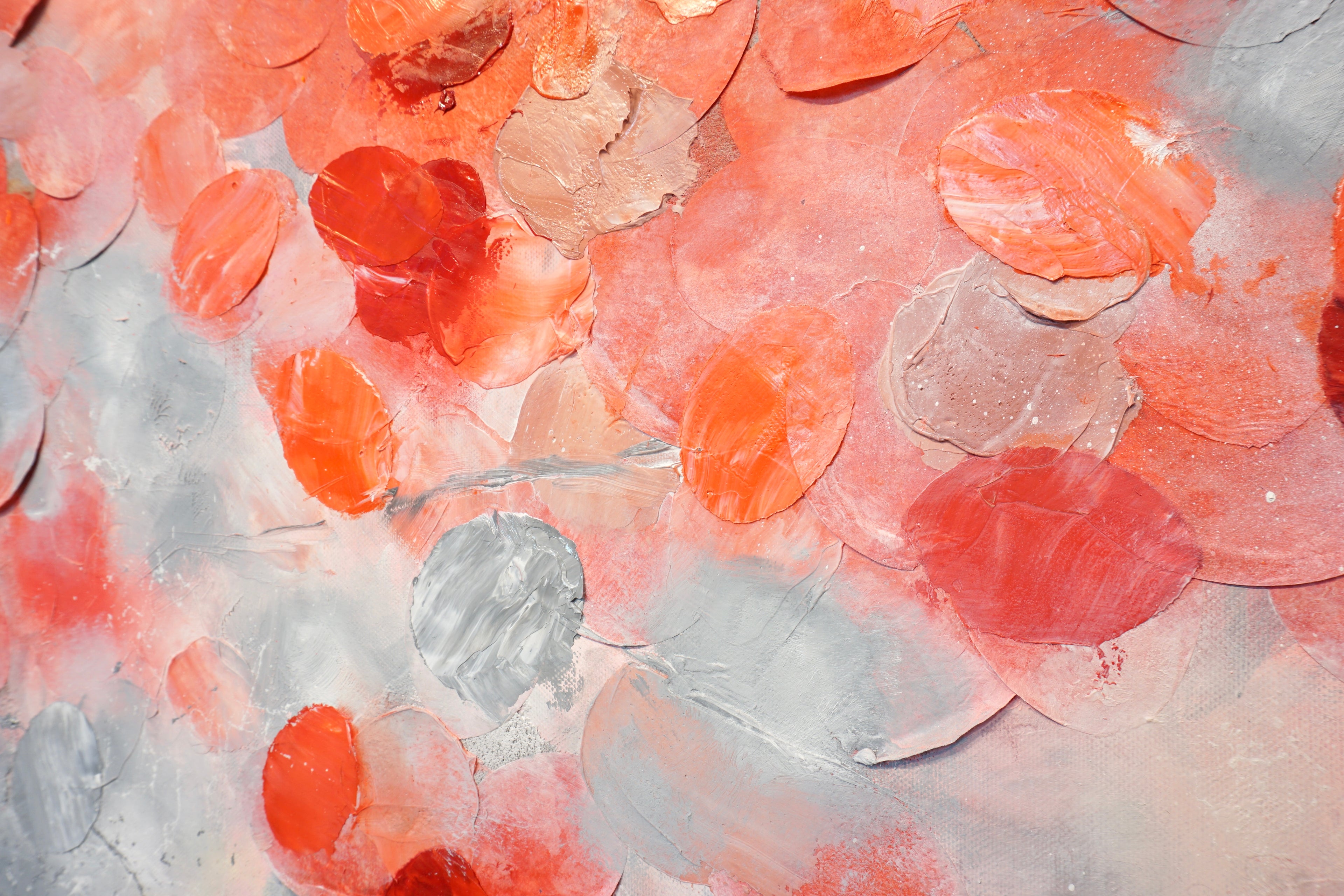 Frederic Paul_DSC07708.jpg