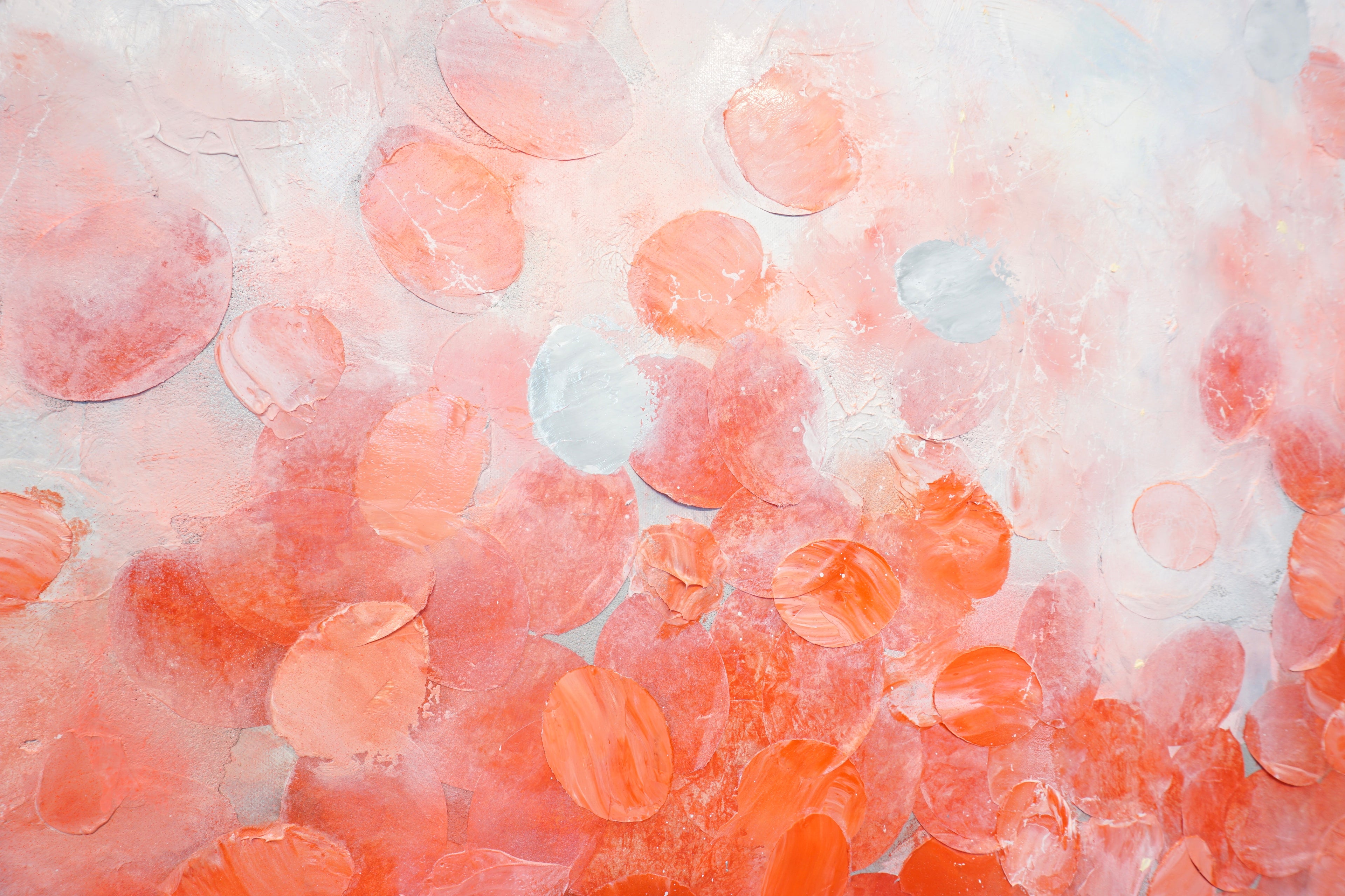 Frederic Paul_DSC07700.jpg