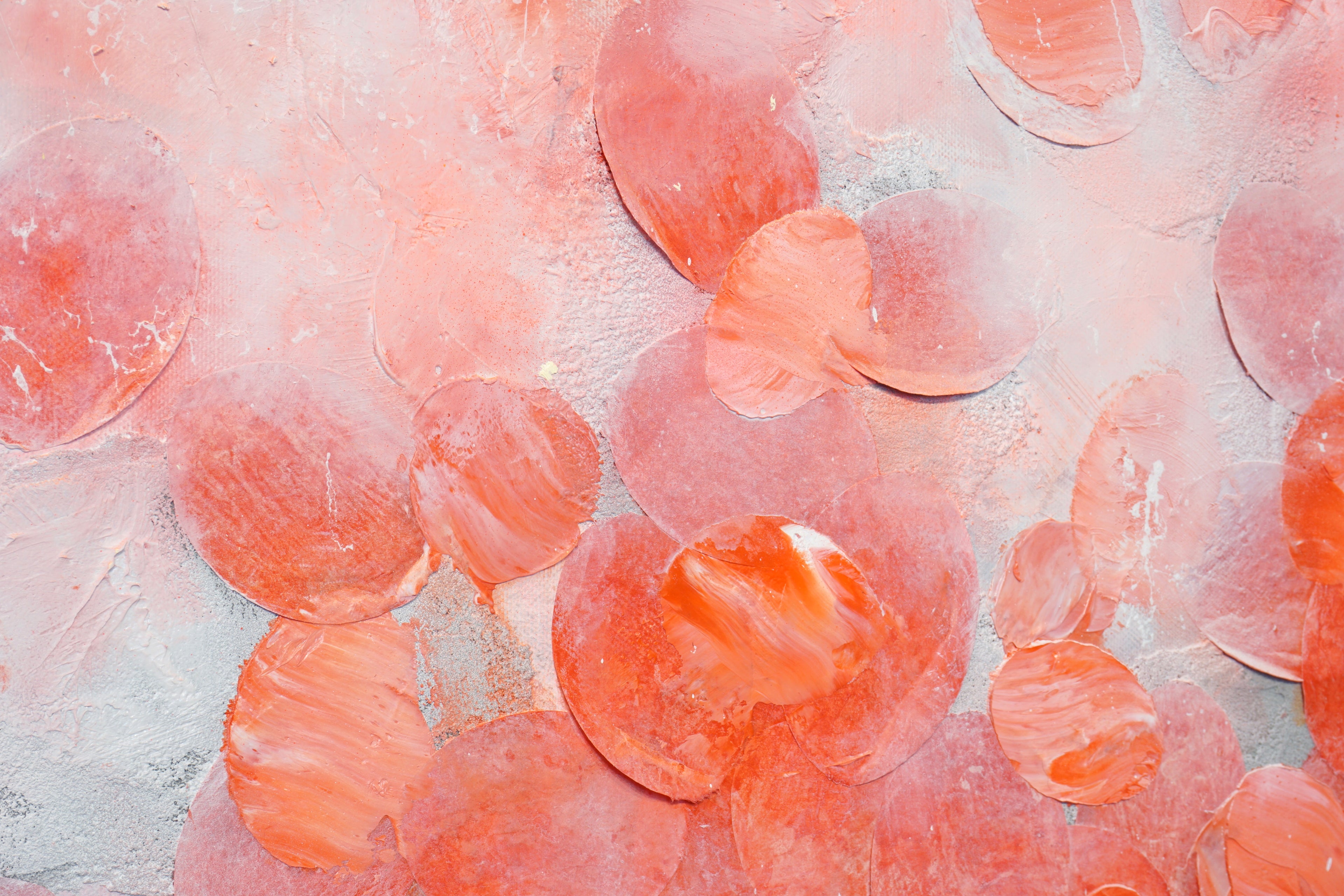 Frederic Paul_DSC07705.jpg