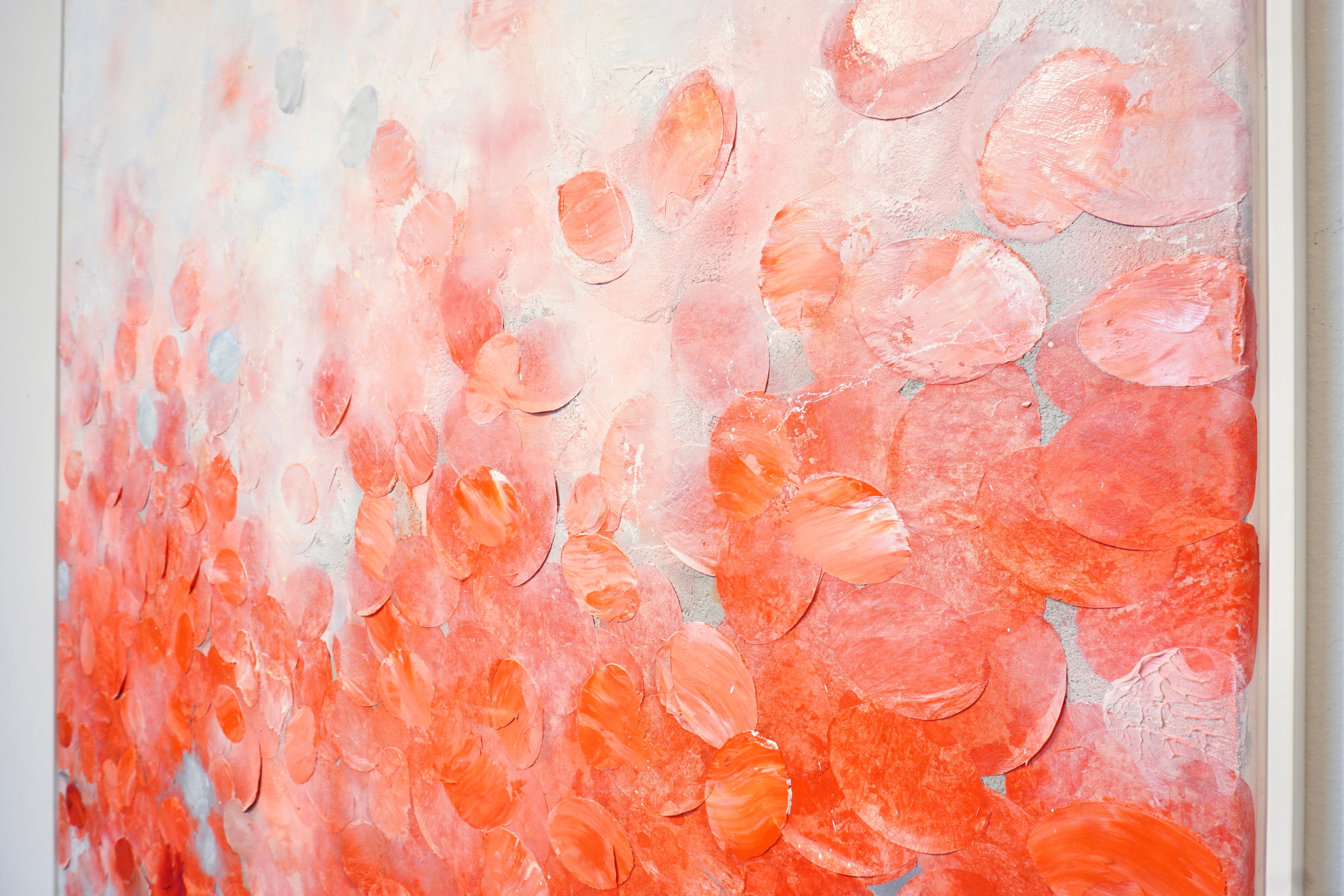 Frederic Paul_DSC07703.jpg