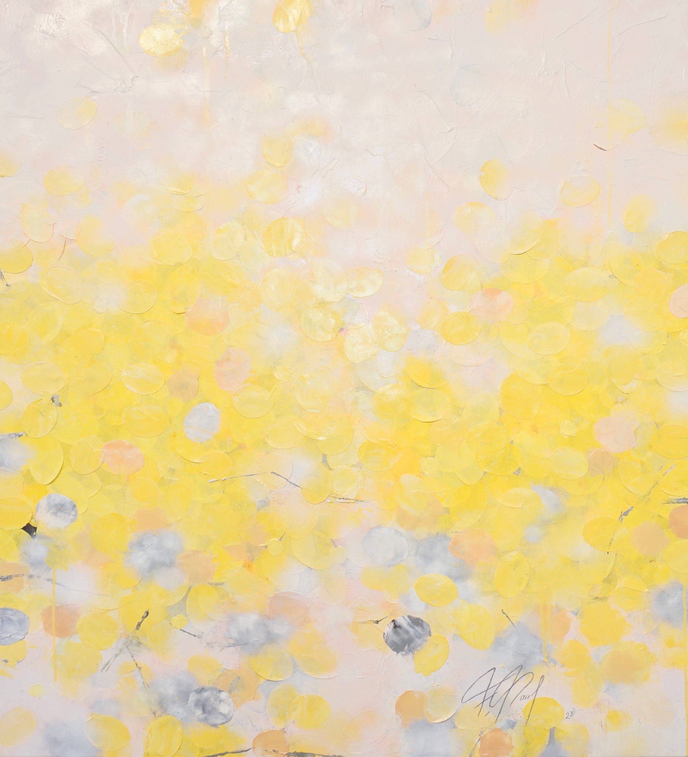 DSC08097 Kopie 2.jpg